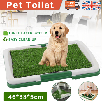 Indoor Dog Toilet Tray